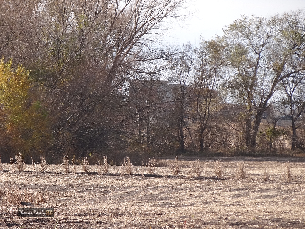 Proposed Road to JRMC from Menards    CSi photo